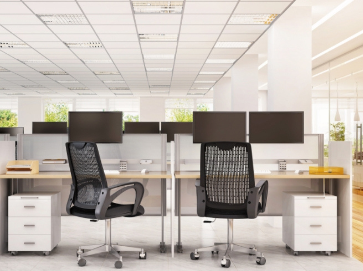 株式会社善林堂