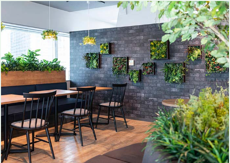 株式会社アリサ