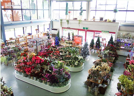 株式会社アリサ